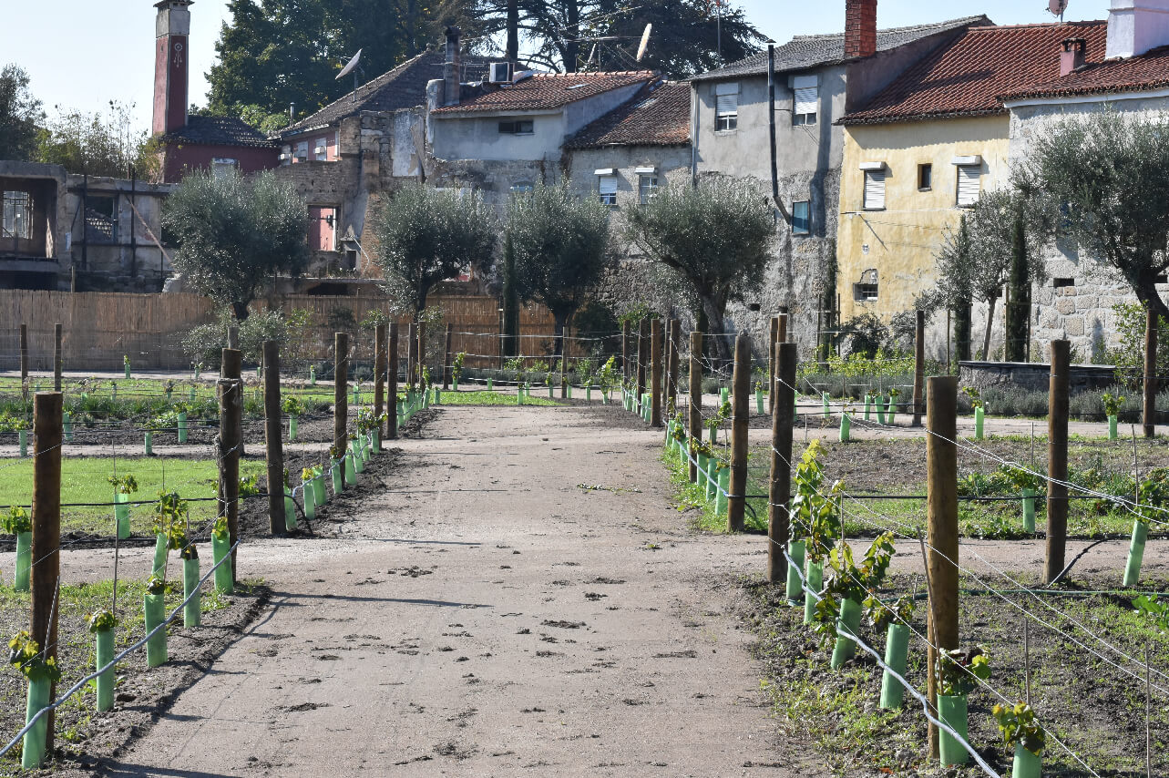 Iberico Nogueira 04