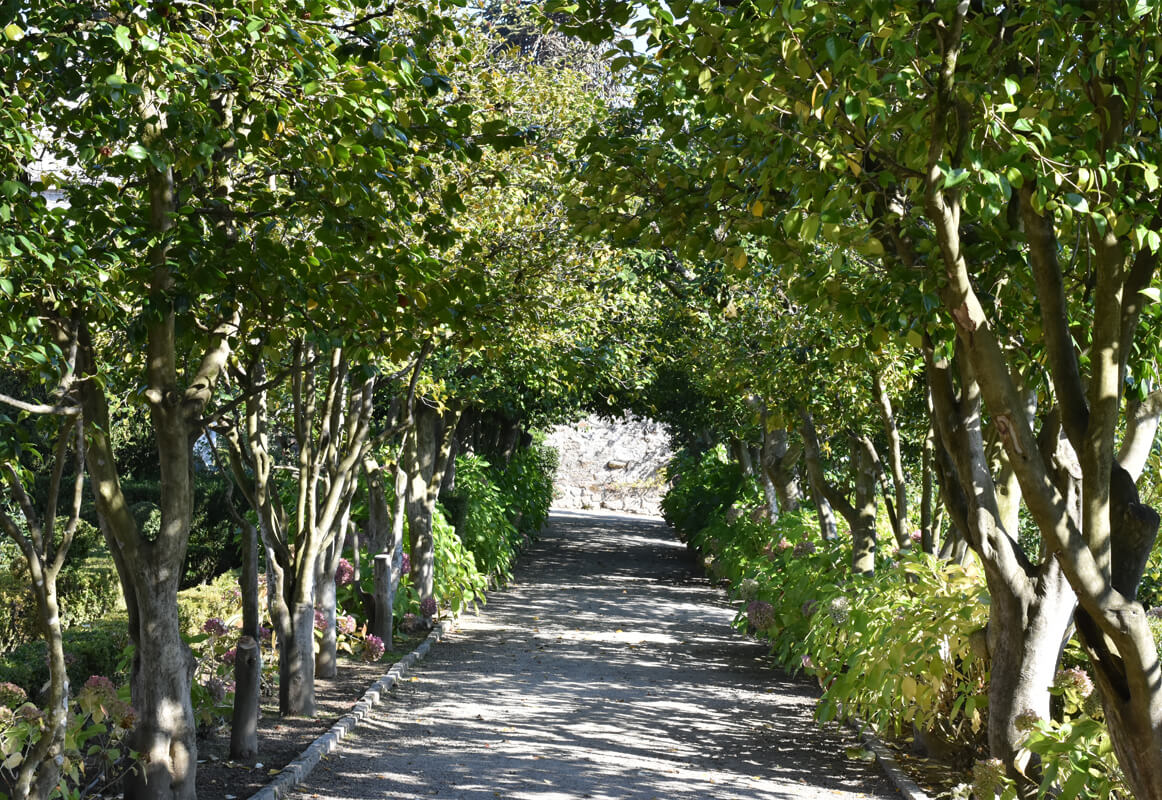 casa-de-santar-jardins-