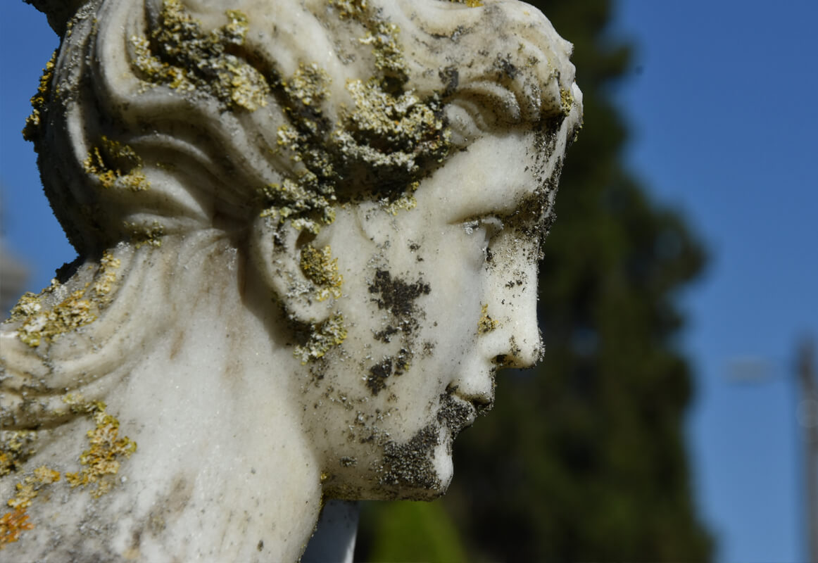 casa-de-santar-jardins-