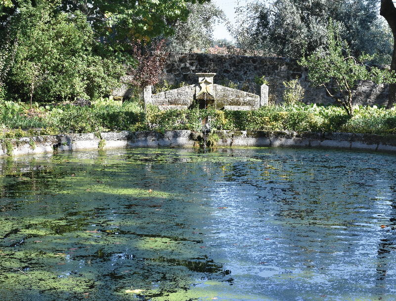 GALERIA SANTAR Botanica 27