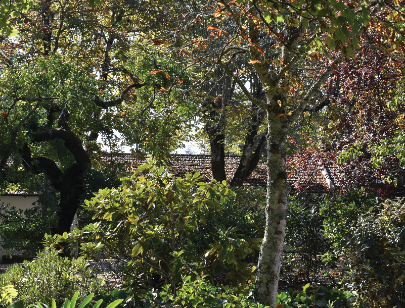 GALERIA SANTAR Botanica 34