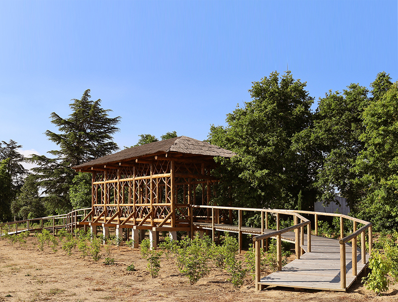 GALERIA SANTAR Casas 15