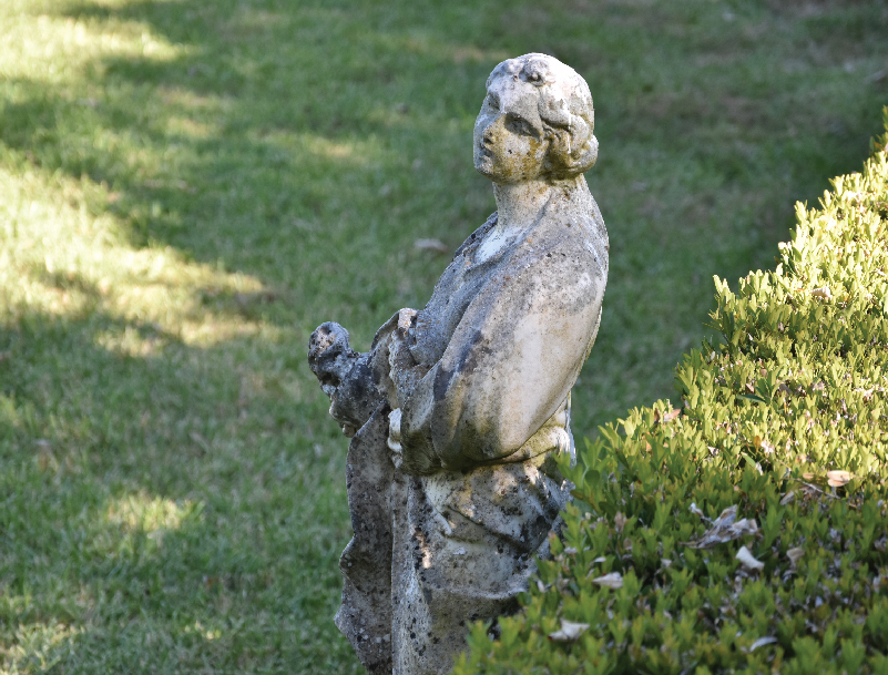 Galeria Jardins 15