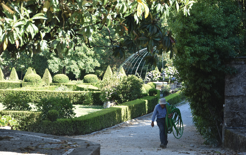 Galeria Jardins 28