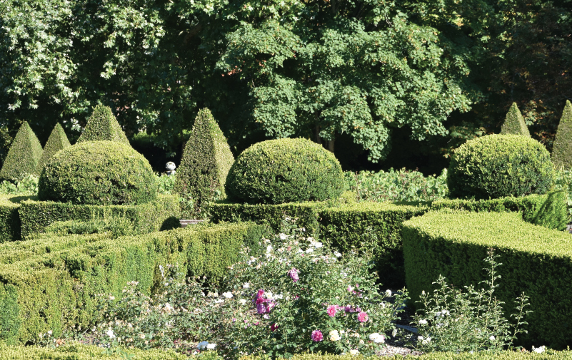 Galeria Jardins 29